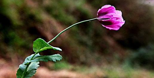 《博德之门3》补丁2号即将到来 提供重大性能改进